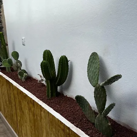 Splendid Casa Nostra, Private Pool, Wifi, Garden ヴィラ