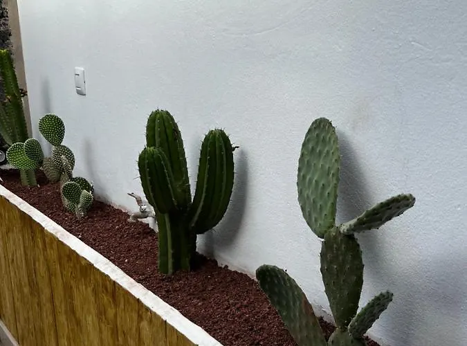 Splendid Casa Nostra, Private Pool, Wifi, Garden Villa